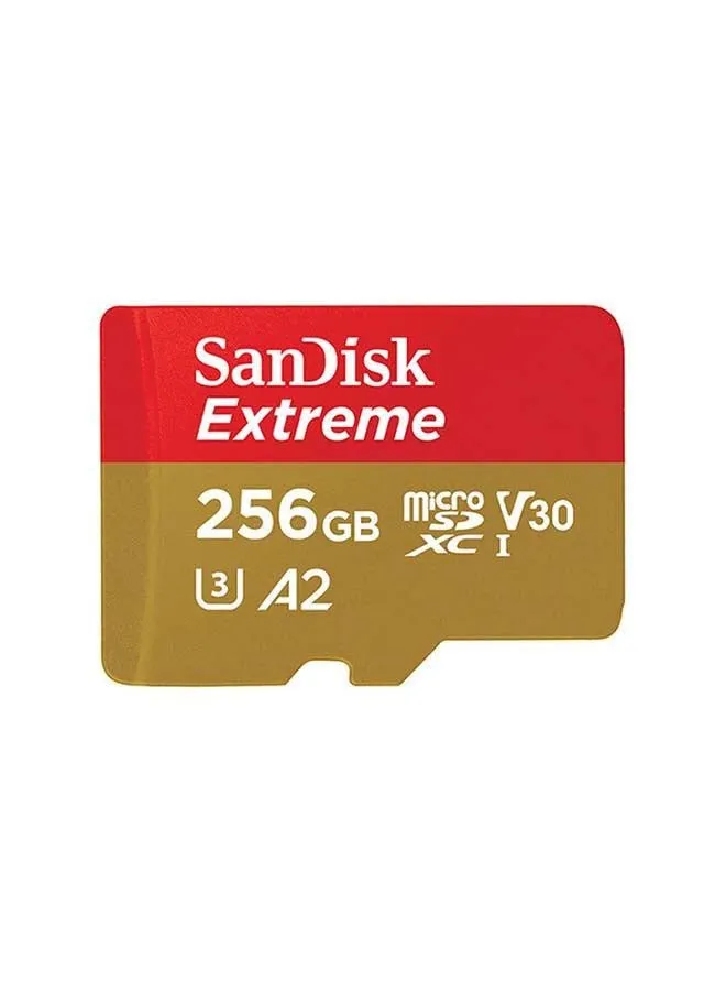 بطاقة اكستريم microSDXC UHS-I بسعة 256.0 جيجابايت 256 GB-1