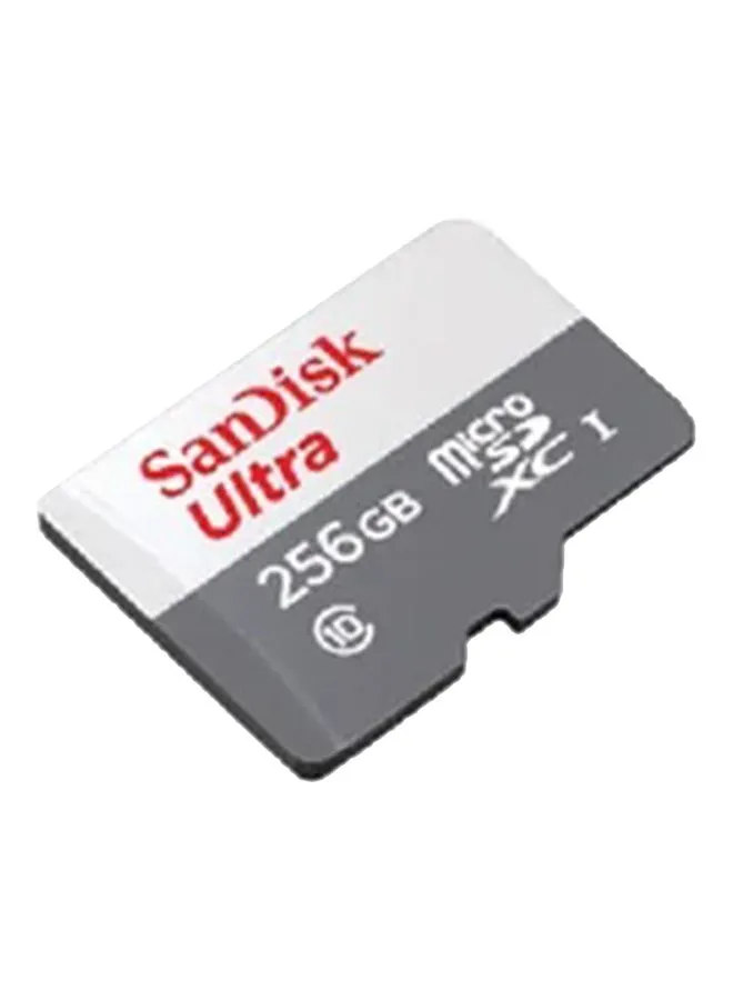 بطاقة Ultra Microsdxc Uhs 1 سعة 256 جيجابايت بسرعة 100 ميجابايت/ثانية رمادية -Sdsqunr-256G-Gn3Mn، رمادية 256 جيجابايت 256 GB-1