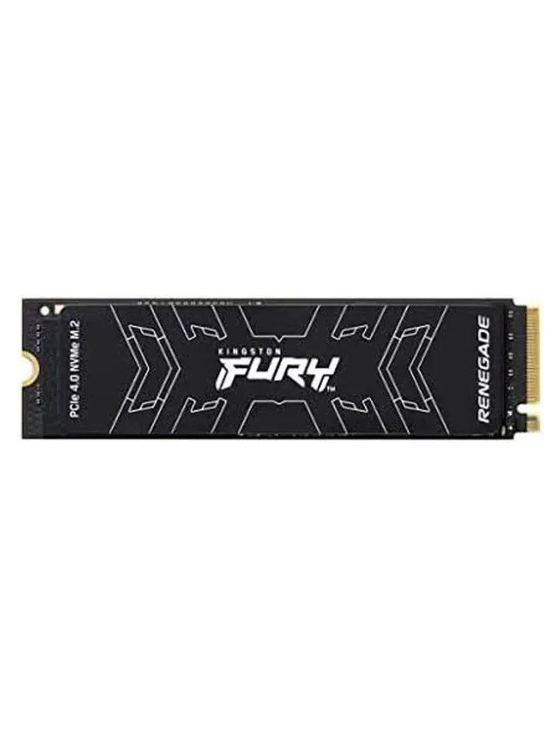 Fury Renegade 1 تيرابايت PCIe Gen 4.0 NVMe M.2 SSD داخلي للألعاب | ما يصل إلى 7300 ميجابايت/ثانية | موزع حرارة الجرافين | 3D تي ال سي ناند | يعمل مع PS5 | SFYRS/1000G - محرك الأقراص ذو الحالة الصلبة-2