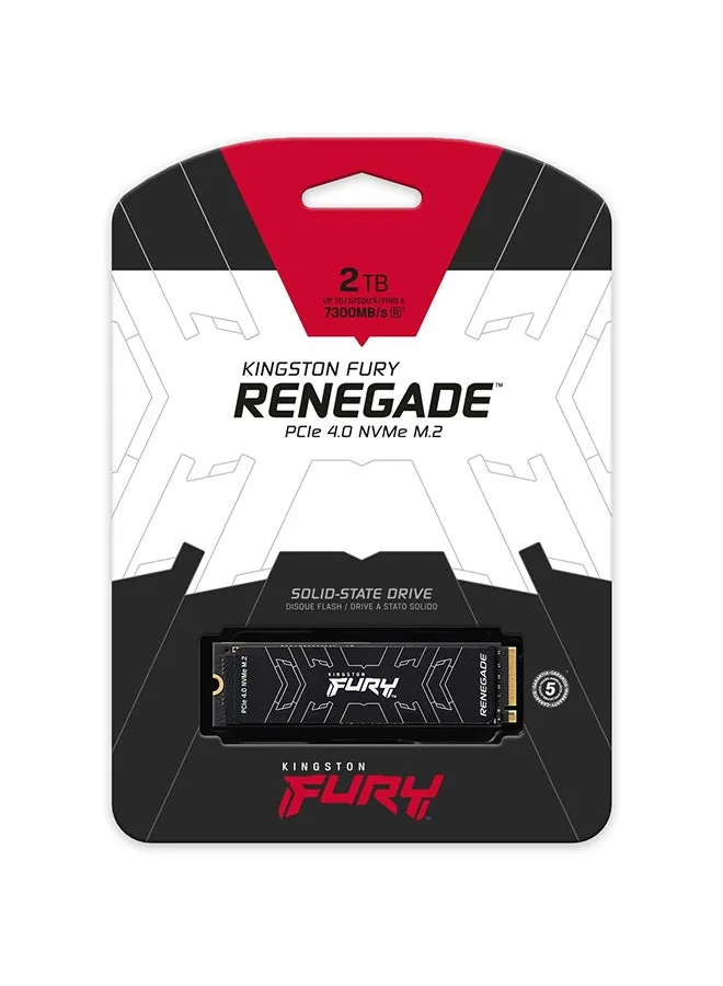 Fury Renegade 2000G (2 تيرابايت) SSD داخلي للألعاب، PCIe Gen 4.0 NVMe، M.2 2280، ما يصل إلى 7300 ميجابايت/ثانية، كتابة 7000 ميجابايت/ثانية، TLC Nand، مزدوج الجوانب 2 تيرابايت-2