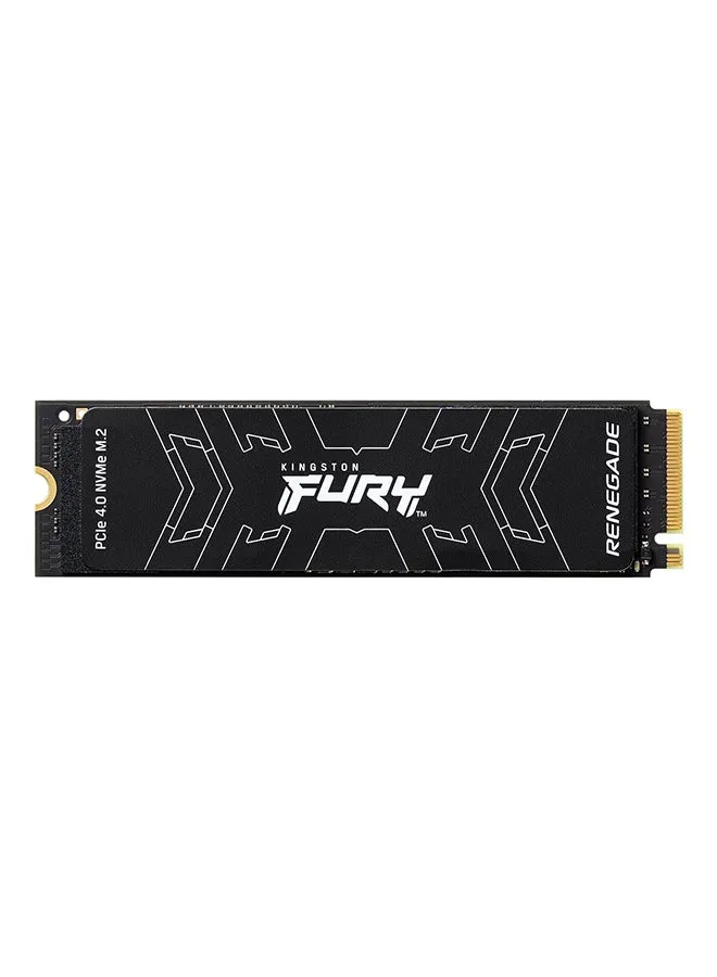 Fury Renegade 4 تيرابايت SSD داخلي للألعاب، PCIe Gen 4.0 NVMe، M.2 2280، ما يصل إلى 7300 ميجابايت/ثانية، كتابة 7000 ميجابايت/ثانية، TLC Nand، ¬†مزدوج الجوانب 4 تيرابايت-1