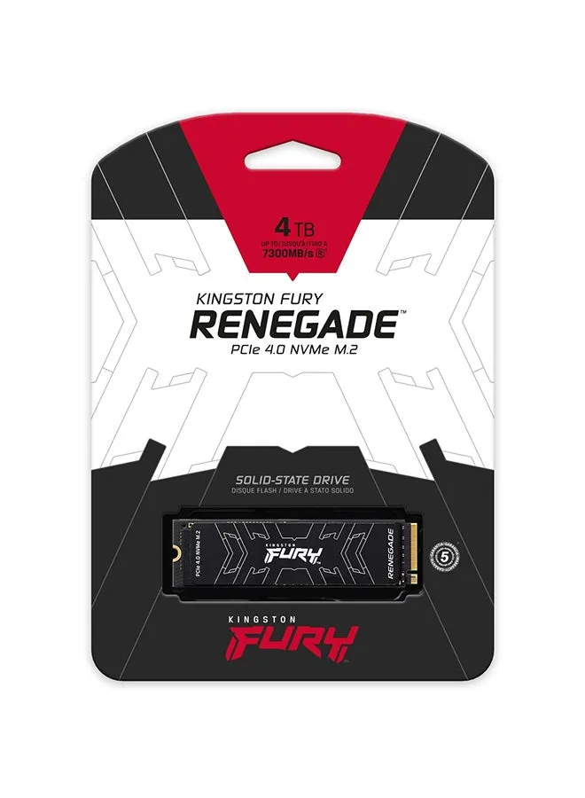 Fury Renegade 4 تيرابايت SSD داخلي للألعاب، PCIe Gen 4.0 NVMe، M.2 2280، ما يصل إلى 7300 ميجابايت/ثانية، كتابة 7000 ميجابايت/ثانية، TLC Nand، ¬†مزدوج الجوانب 4 تيرابايت-2