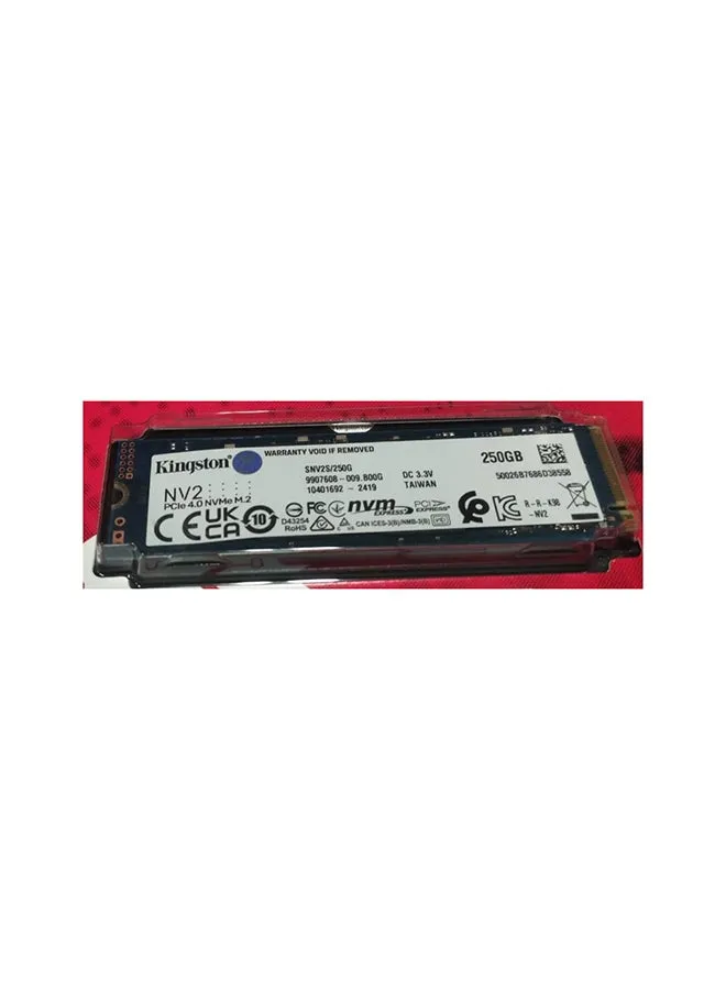 كينغستون 250 جيجابايت NV2 M.2 2280 PCIe 4.0 NVMe SSD حتى 3000/1300 ميجابايت/ثانية 256 جيجابايت-2