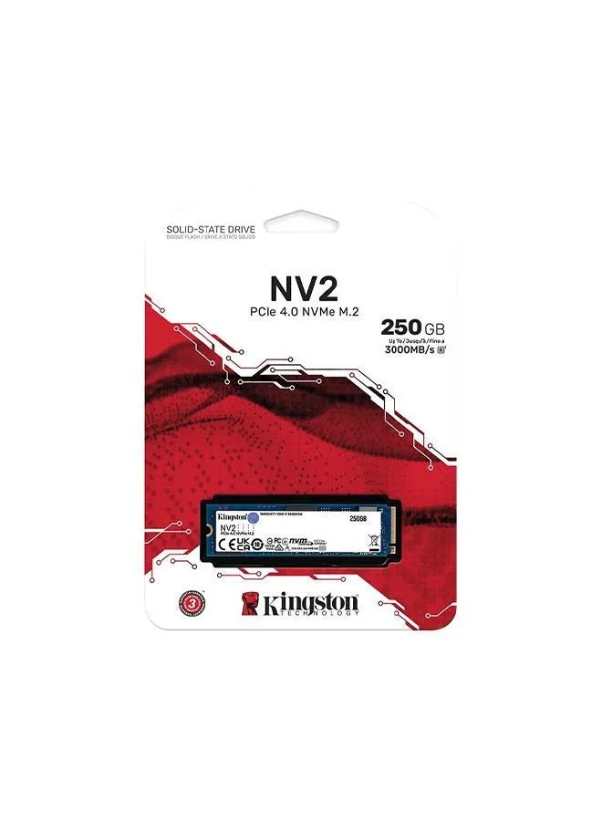 كينجستون NV2 PCIe 4.0 NVMe SSD-1