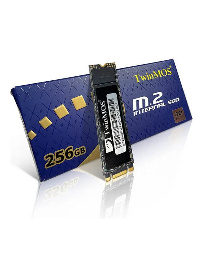 محرك أقراص SSD ساتايي M.2 2280 256 GB-1