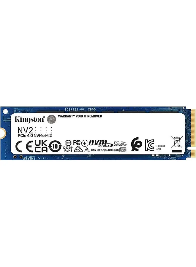 NV2 NVMe PCIe 4.0 SSD 1000G M.2 2280 SNV2S/1000G 1 تيرابايت-1