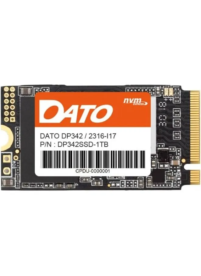 SSD-DATO DP342 PCIe Gen3x4 1 تيرابايت بسرعات تصل إلى 2500 ميجابايت/ثانية و1800 ميجابايت/ثانية-1