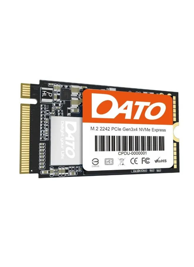 SSD-DATO DP342 PCIe Gen3x4 1 تيرابايت بسرعات تصل إلى 2500 ميجابايت/ثانية و1800 ميجابايت/ثانية-2