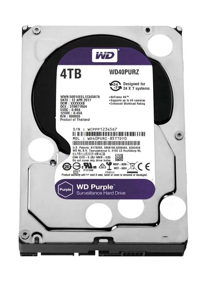 محرك أقراص صلبة سيرفيلانس 4 TB-1