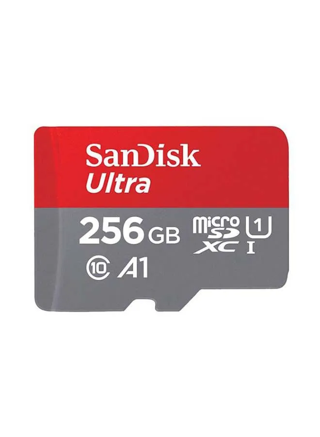 بطاقة الذاكرة ألترا MicroSDHC من الفئة 10/1 256 GB-1