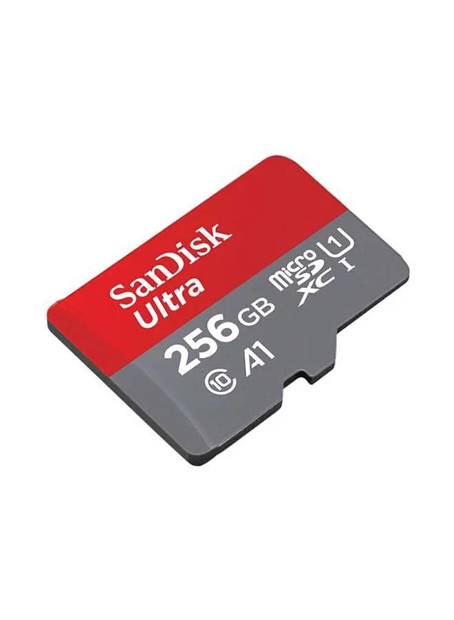 بطاقة الذاكرة ألترا MicroSDHC من الفئة 10/1 256 GB-2